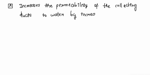 antidiuretic-hormone-a-increases-the-permeability-of-the-collecting-ducts-to-water-by-increasing-the-number-of-aquaporins-b-is-secreted-in-response-to-low-potassium-ion-in-the-blood-c-causes-57657