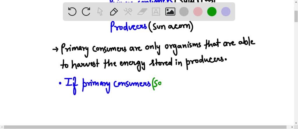 SOLVED The food chain below shows how energy is passed in a forest Biology Diagrams