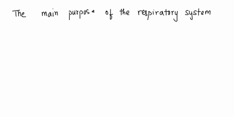 matching-choices-are-used-once-or-not-at-all-a-coz-olfactory-epithelium-b-respiratory-acidosis-p-nasopharynx-c-hzo-cystic-fibrosis-d-hemoglobin-r-mitochondrion-e-pneumothorax-s-rise-f-medull-95434