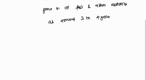 39-i-also-use-it-when-i-do-the-homework-par-1-line-3the-underlined-word-has-the-closest-meaning-witha-assignmentb-agreementc-dictionaryd-teamwork-umy-4l-nyusi-cd-39-also-use-il-when-do-he-ho-27951