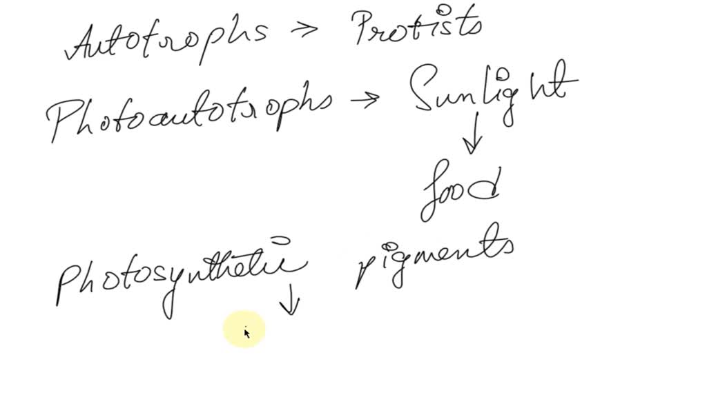 SOLVED: Protists with the capabilities to perform photosynthesis and to