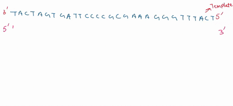 second-uuu-uuc-uua-uug-ugu-uac-ugc-gtop-stop-stop-ucg-ucc-vcg-ccu-cgui-cgc-cuc-cua-cug-cca-ccc-cgg-acu-auc-acc-aca-auc-mat-acg-agu-agc-aga-agg-aac-aag-gcu-gcc-gca-ccc-gau-gac-ggu-ggc-gga-ggg-61363