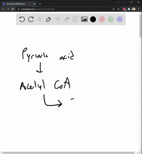 which-of-these-is-not-true-of-the-citric-acid-cycle-a-the-citric-acid-cycle-includes-the-prep-reacti-06084