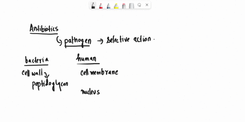 i-have-a-few-questions-for-antibiotics-why-is-the-cell-wall-a-good-target-for-antibiotics-to-destroy-in-controlling-microbial-infections-in-a-patient-can-you-name-another-potential-target-of-39554