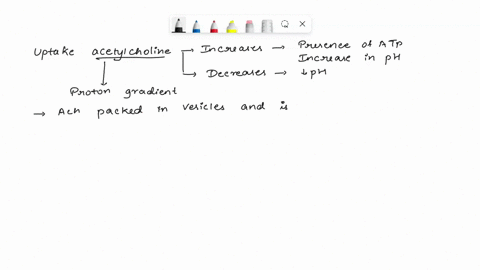 the-neurotransmitter-acetylcholine-is-made-in-the-cytosol-and-then-transported-into-synaptic-vesic-3-80875