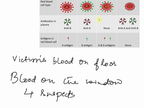 crime-scene-you-pull-up-eo-and-see-the-crime-scene-in-front-of-you-the-victim-on-the-ground-in-pool-of-blood-you-complete-luminol-test-and-find-lhat-there-15-also-blood-on-broken-window-you-91084