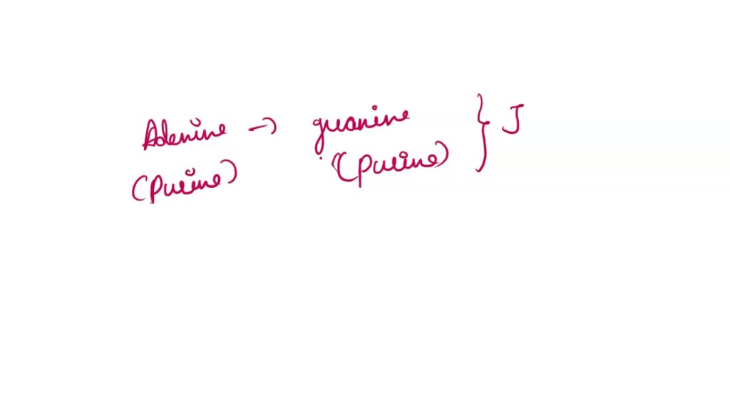 SOLVED: The conversion of guanine to O6 Methyl-guanine is an example of ...