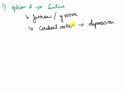 question7-a-shallow-groove-on-the-surface-of-the-cerebral-cortex-is-called-a-oasulcus-obfissure-odfurrow-question-8-the-central-sulcus-separates-which-lobes-of-the-cerebrum-aleft-and-right-b-53226