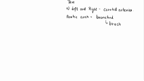 which-of-the-following-statements-is-true-a-the-left-and-right-common-carotid-arteries-both-branch-o-10735