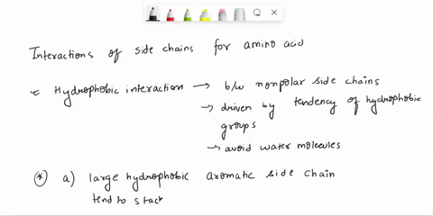 14-which-pair-of-amino-acids-will-have-the-weakest-hydrophobic-interactions-between-their-side-chains-the-answer-is-bbut-how-is-that-glycine-is-phobic-and-tyrosine-is-philic-which-i-guess-ca-62745