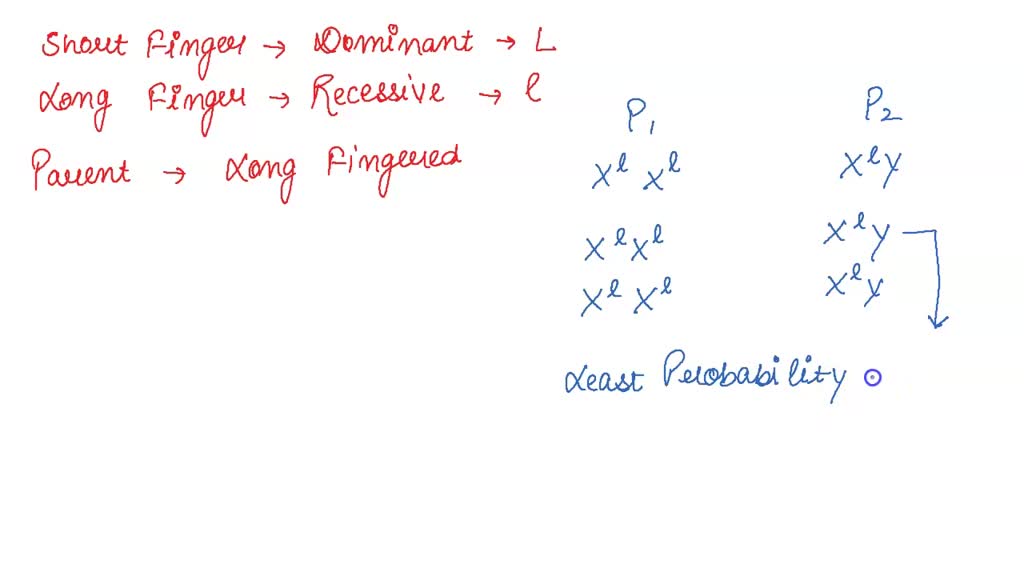 SOLVED: In humans, short fingers (S) are dominant over long fingers (s ...