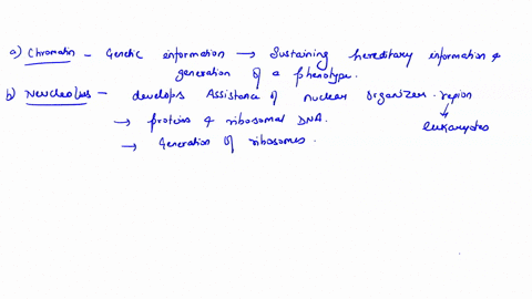 what-role-do-the-following-cellular-components-play-in-the-storage-expression-or-transmission-of-gen-72674