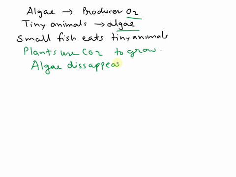 in-a-lake-ecosystem-sunlight-that-reaches-the-water-helps-green-algae-grow-in-and-on-the-water-as-in-the-picture-shown-below-algae-produce-oxygen-tiny-animals-that-live-in-the-water-eat-the-01867