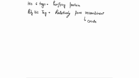his-tags-are-used-in-purifying-proteins-because-some-ol-the-above-histidine-binds-to-ni2-so-ni2-column-can-be-used-to-bind-the-protein-of-interest-all-of-the-above_-six-histidines-can-be-add-84449