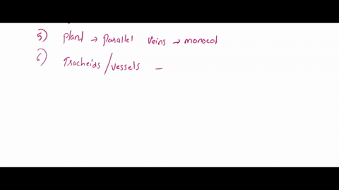 cells-that-divide-composed-what-kind-of-plant-tissue-is-tissue-in-leaf-identify-ground-used-in-its-leaves-what-tem-has-the-xylem-and-phloem-monocot-or-eudicot-what-kind-of-plant-parallel-pat-47724
