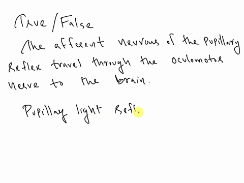 moving-to-another-question-will-save-this-response-question3-the-afferent-neurons-ot-the-pupillary-reflex-travel-through-the-oculomotor-nerve-to-the-brain-outrue-ofalse-moving-to-another-que-03234
