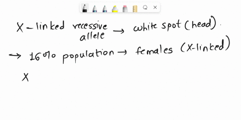 in-hamsters_-recessive-x-linked-allele-causes-white-spot-to-formon-top-of-the-animals-head-in-one-population-16-of-females-have-heads-with-white-spots-assuming-that-this-population-is-in-har-82668