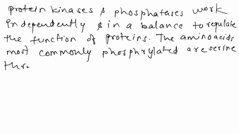 what-amino-acids-are-often-phosphorylated-by-kinases-48977