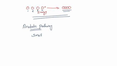 which-type-of-metabolic-pathway-represented-by-the-diagram-shown-here-energy-select-tne-correct-answer-below-anabolic-catabolic-respiration-none-of-the-above-03884