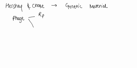 bacteriophages-are-viruses-that-infect-bacteria-in-an-experiment-bacteriophages-were-labeled-with-either-radioactive-phosphorus-or-radioactive-sulfur-the-labeled-bacteriophages-were-incubate-36732