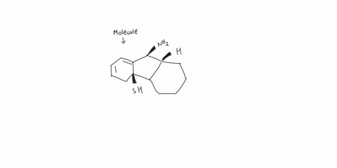 Is Rnh2 Chiral Assign r and s configuration to all chiral stereogenic...
