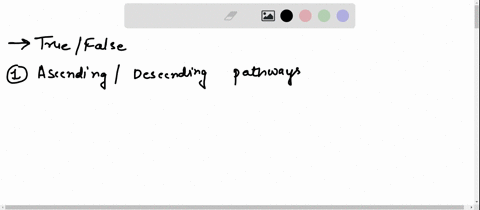 truefalsewrite-tif-the-statement-is-true-and-fthe-statement-is-falselpt-each-1-most-of-the-ascending-and-descending-pathways-to-and-from-the-brain-cross-over-decussate-from-one-side-of-the-b-55726