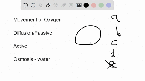 if-oxygen-is-more-concentrated-outside-a-cell-than-inside-a-the-oxygen-will-move-into-the-cell-by-active-transport-b-the-oxygen-will-tend-to-diffuse-out-of-the-cell-c-there-will-be-no-net-mo-16452