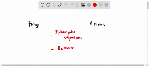 which-of-the-following-best-explains-a-characteristic-that-differentiates-fungi-from-animals-a-fungi-can-reproduce-asexually-while-animals-cannot-b-fungi-are-heterotrophs-while-animals-are-n-24334