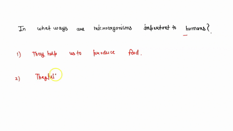 in-what-ways-are-microorganisms-important-to-humans-72713