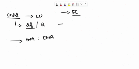 all-of-the-following-are-found-in-dna-molecule-except-94402