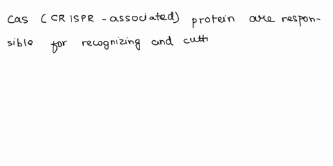 which-of-the-following-statements-is-not-true-regarding-the-crispr-system______________-the-crispr-region-of-bacterial-genome-has-dna-from-previous-phage-infections-transcription-of-the-cris-79837