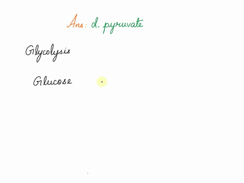the-glucose-that-enters-the-glycolysis-pathway-is-split-into-two-molecules-of-_________-a-atp-b-phos-47988