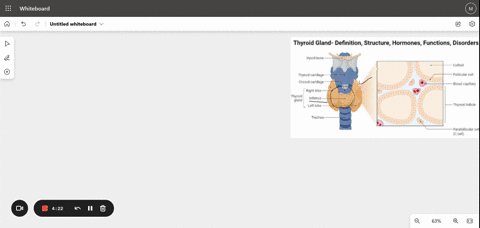 what-is-the-structure-of-the-thyroid-gland-55456