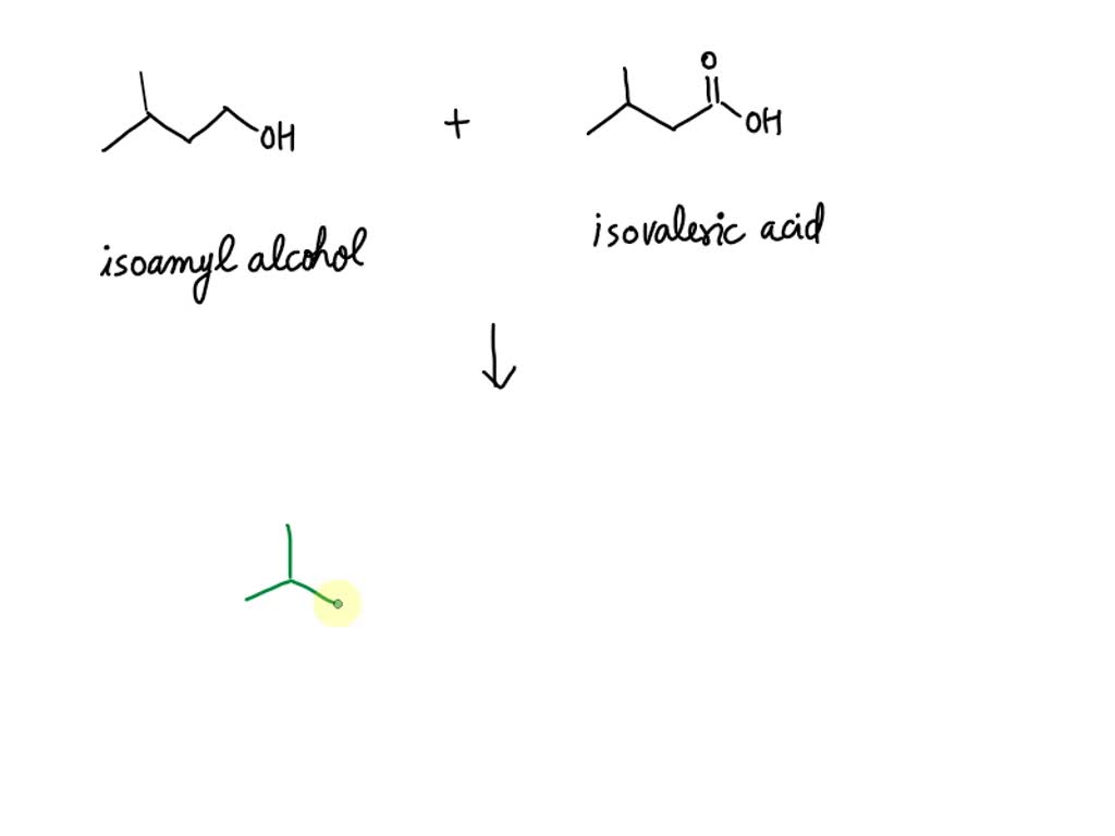 SOLVED 1. list the steps for naming the ester compound using the IUPAC