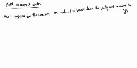 match-tha-process-of-fertilization-order-events-sperm-squeezes-through-follicie-cells-around-te-egg-to-contartjelly-coat-around-tne-ceg-step-tne-sperm-nucieus-enters-the-cytoplasm-of-thec-th-21652