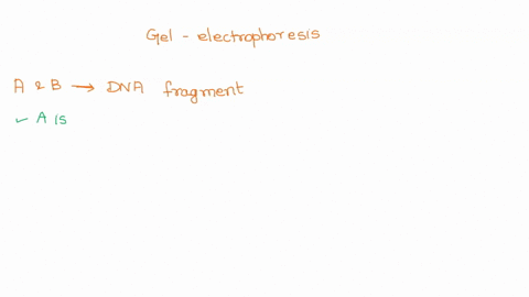 consider-the-gel-electrophoresis-image-shown-on-the-left-note-the-position-of-the-wells-and-the-direction-of-current-through-the-gel-look-at-the-dna-bands-labelled-a-and-bbased-on-your-knowl-51002
