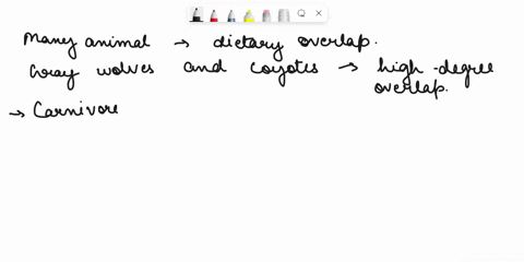 which-two-animals-have-the-most-overlap-in-their-diets-01537