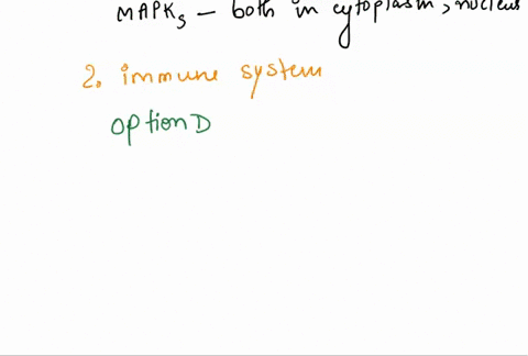 which-one-of-the-following-statements-is-false-a-mapkk-mek-is-phosphorylated-by-activated-raf-b-mapks-function-only-in-the-cytoplasm-c-the-map-kinase-family-contain-proteins-that-are-serinet-93556