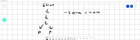 the-reactions-of-glycolysis-produce-atp-from-adp-as-the-storage-form-of-the-energy-output-but-the-citric-acid-cycle-mainly-produces-nadh-and-fadh2-since-atp-is-the-energy-currency-used-throu-75222