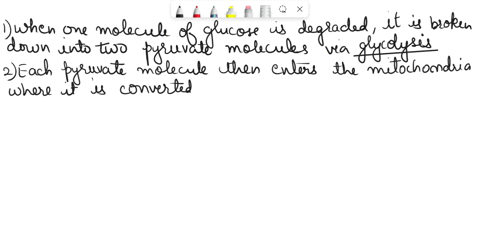 determine-the-net-change-in-nadh-fadh-and-gtp-from-the-passage-of-two-acetyl-scoa-molecules-through-the-citric-acid-cycle-dcgradation-of-one-molecule-of-glucose-yiclds-two-acetyl-scoa-molccu-49212