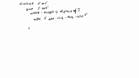 a-part-of-an-mrna-molecule-with-the-following-sequence-is-being-read-by-ribosome-5-ccg-acg-3-mrnaj-the-following-charged-transfer-rna-molecules-with-their-anticodons-shown-in-the-3-to-5-dire-08745