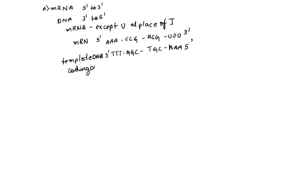 SOLVED: A part of an mRNA molecule with the following sequence is being ...