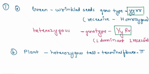 table-mendel-s-traits-and-symbols-for-pea-plants-tralts-dominant-allelo-round-yollow-smooth-green-tall-axial-recersive-allele-symbol-wrinkled-green-constricted-yellow-short-termina-symbol-se-67359