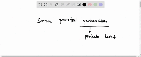 which-of-the-following-statements-accurately-defines-serous-visceral-pericardiuma-three-cusped-structure-between-the-right-ventricle-and-pulmonary-trunk-that-prevents-the-flow-of-blood-back-45233