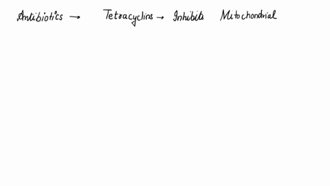 tne-antibiotics-tetracycline-and-erythromycin-inhibit-bacterial-protein-synthesis-but-have-no-effect-on-broteies-encndere-bv-eukarvotichnuclear-genes-conversely_the-antibiotic-cycloheximide-63094