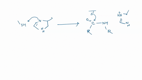 for-practice-on-your-own-draw-a-mechanism-for-a-cysteine-protease-hint-cysteine-proteases-use-a-catalytic-dyad-composed-of-his-and-cys-side-chains-make-sure-to-highlight-the-oxyanion-hole-al-23033