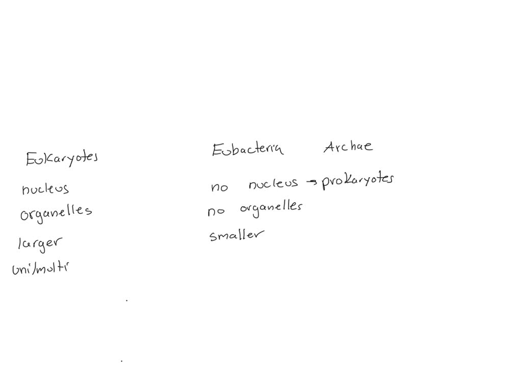 Solved identify the most important differences between eukaryotes