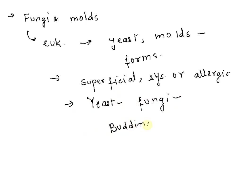 SOLVED Many species of are unicellular yeasts. Prepare a wet mount of the yeast