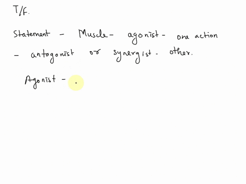 truefalse-a-muscle-that-is-an-agonist-for-one-movement-may-be-an-antagonist-or-synergist-for-another-movement-92318