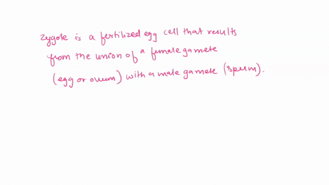 the-fertilized-egg-enters-a-2-week-period-of-cell-division-during-this-period-the-fertilized-egg-is-known-as-an-embryo-ovary-placenta-sperm-zygote-55856